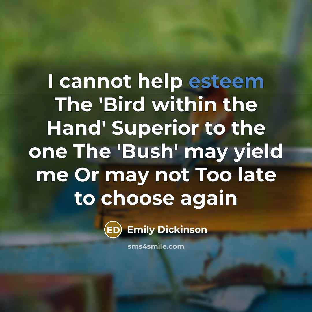 “I cannot help esteem The 'Bird within the Hand' Superior to the one The 'Bush' may yield me Or may not Too late to choose again” quote by Emily Dickinson