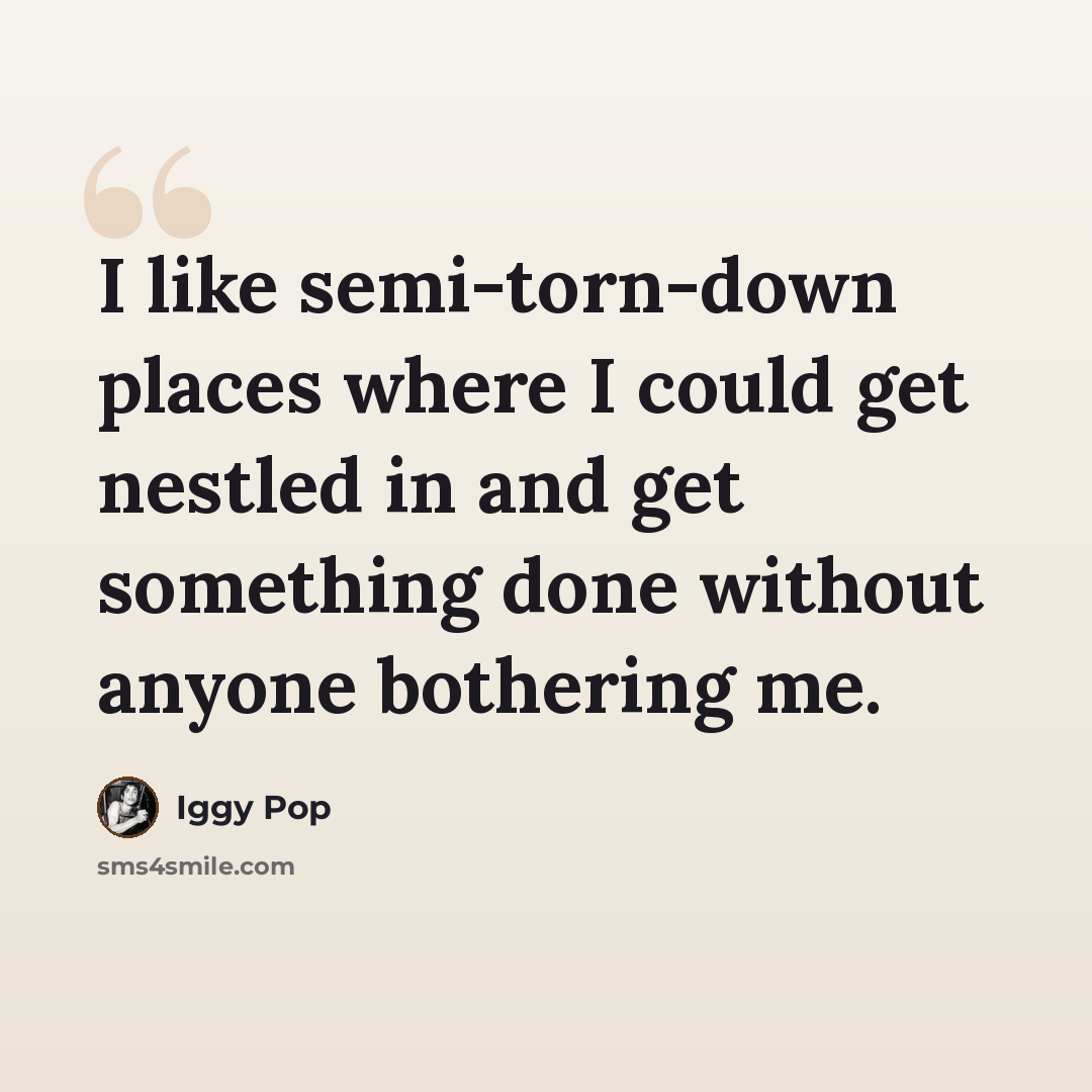 “I like semi-torn-down places where I could get nestled in and get something done without anyone bothering me.” quote by Iggy Pop