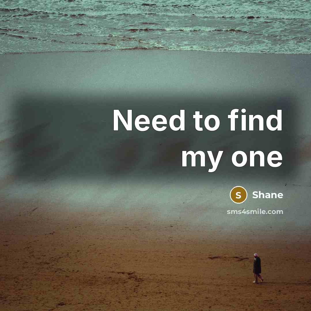“Need to find my one” quote by Shane