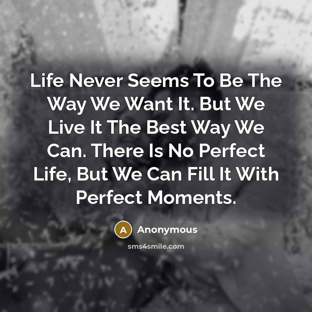 “Life Never Seems To Be The Way We Want It. But We Live It The Best Way We Can. There Is No Perfect Life, But We Can Fill It With Perfect Moments.” quote by Anonymous