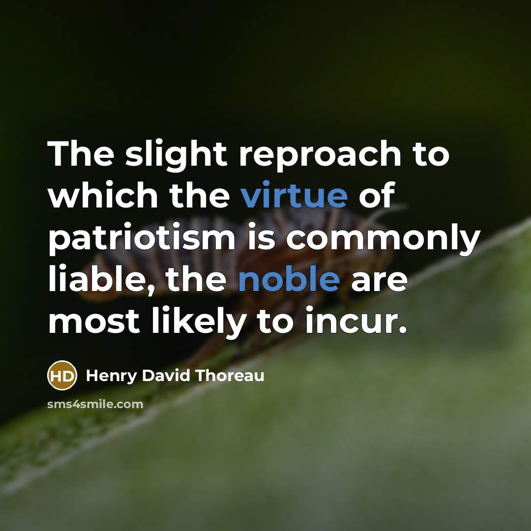 “The slight reproach to which the virtue of patriotism is commonly liable, the noble are most likely to incur.” quote by Henry David Thoreau
