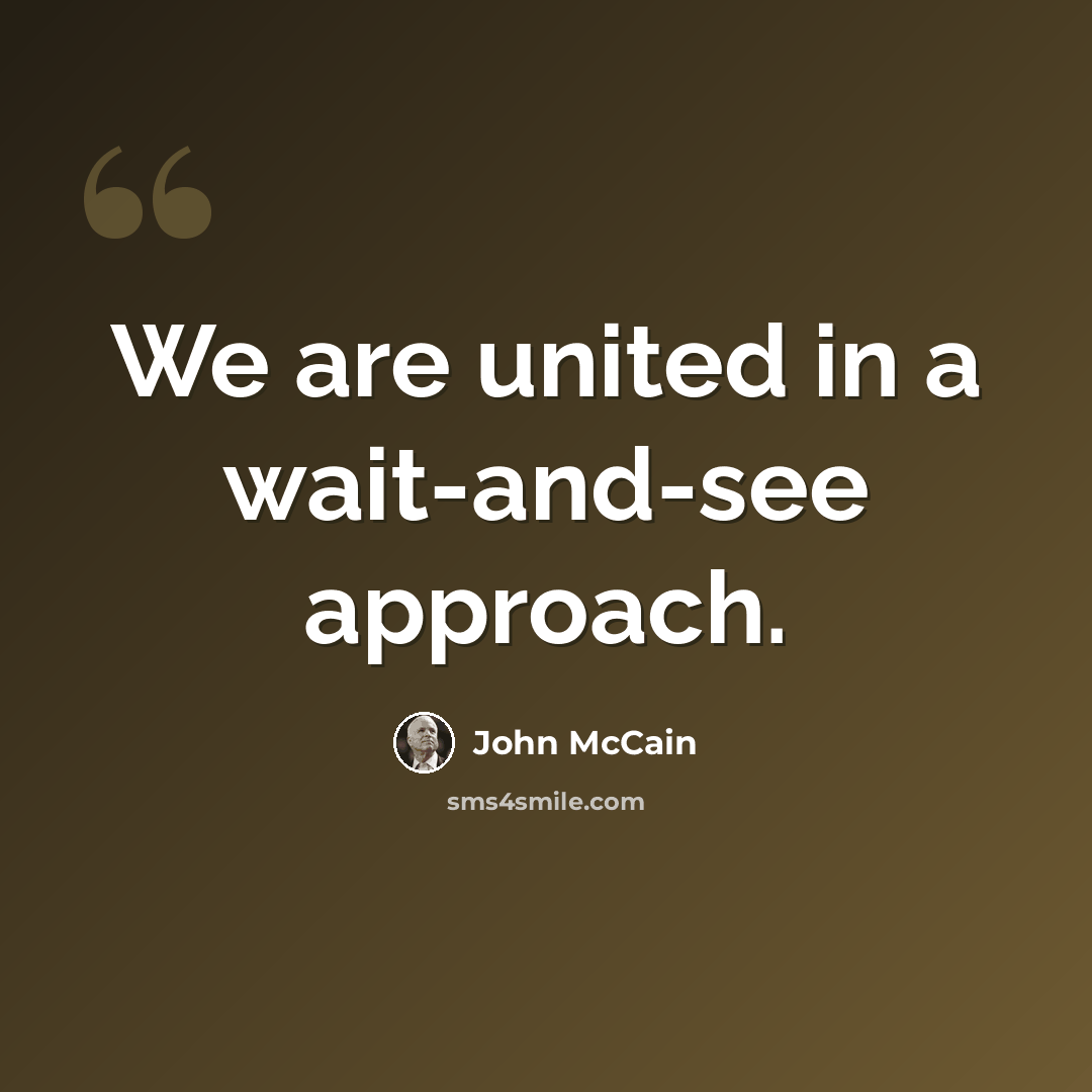 “We are united in a wait-and-see approach.” quote by John McCain