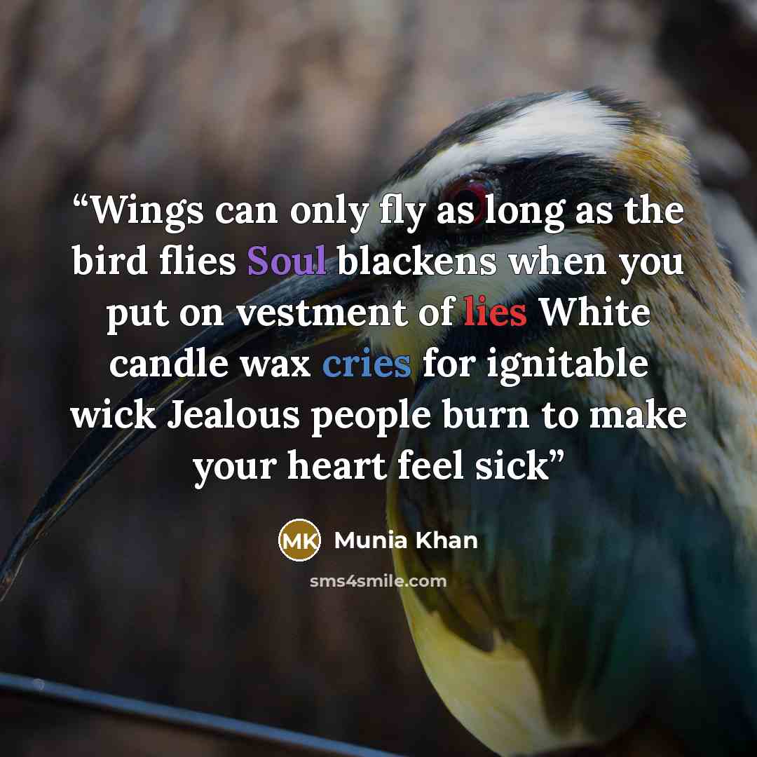 “Wings can only fly as long as the bird flies Soul blackens when you put on vestment of lies White candle wax cries for ignitable wick Jealous people burn to make your heart feel sick” quote by Munia Khan