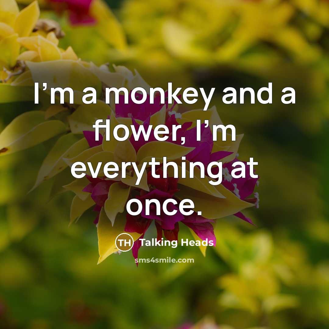 “I'm a monkey and a flower, I'm everything at once.” quote by Talking Heads