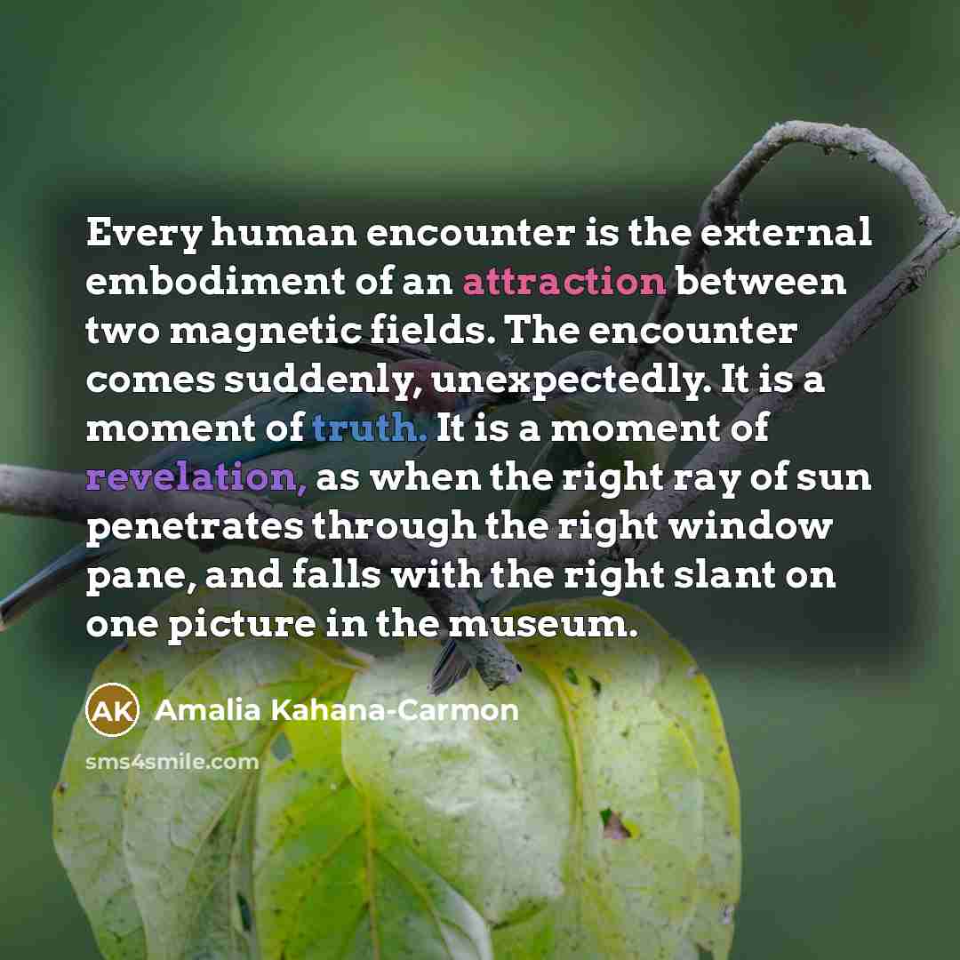 “Every human encounter is the external embodiment of an attraction between two magnetic fields. The encounter comes suddenly, unexpectedly. It is a moment of truth. It is a moment of revelation, as when the right ray of sun penetrates through the right window pane, and falls with the right slant on…” quote by Amalia Kahana-Carmon