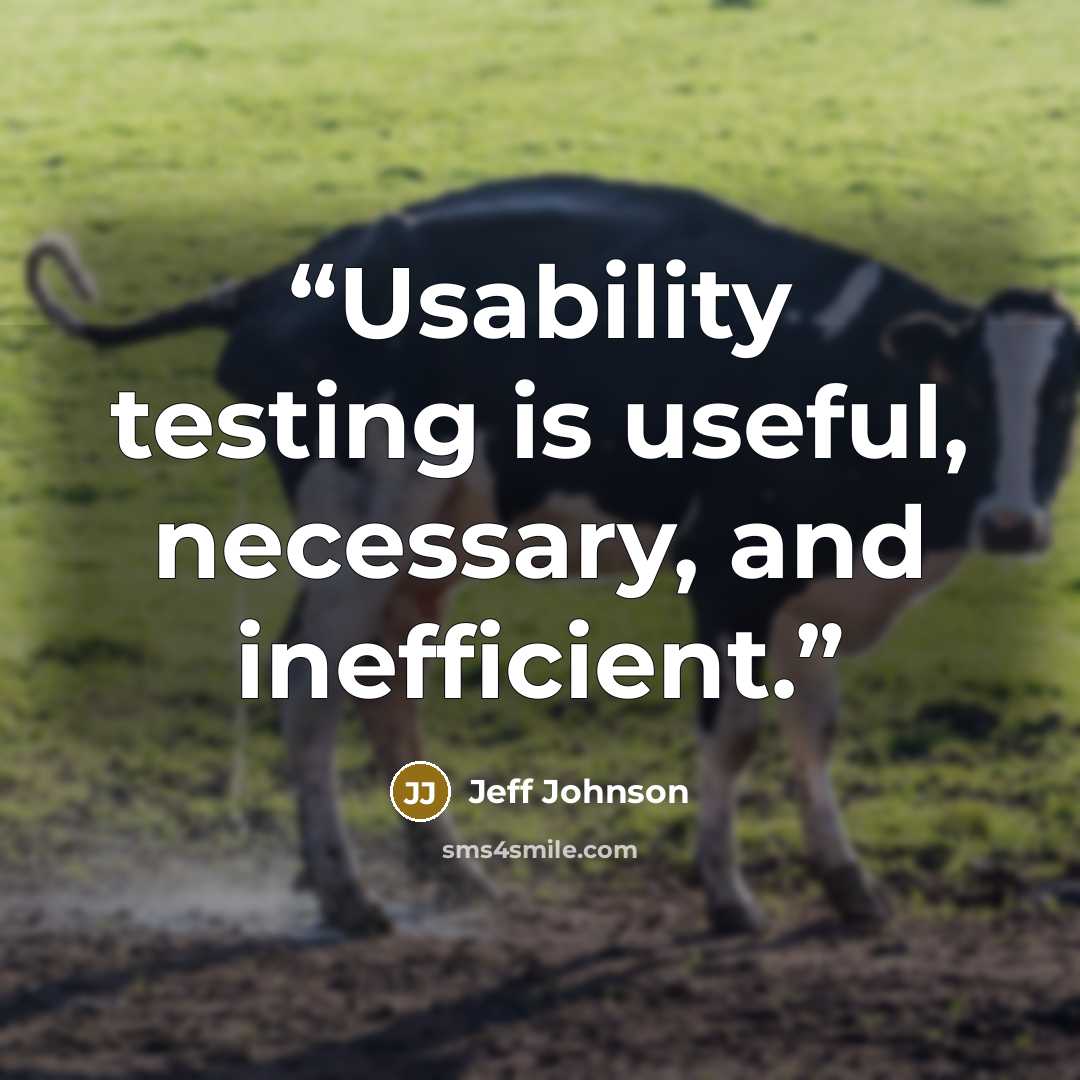 “Usability testing is useful, necessary, and inefficient.” quote by Jeff Johnson