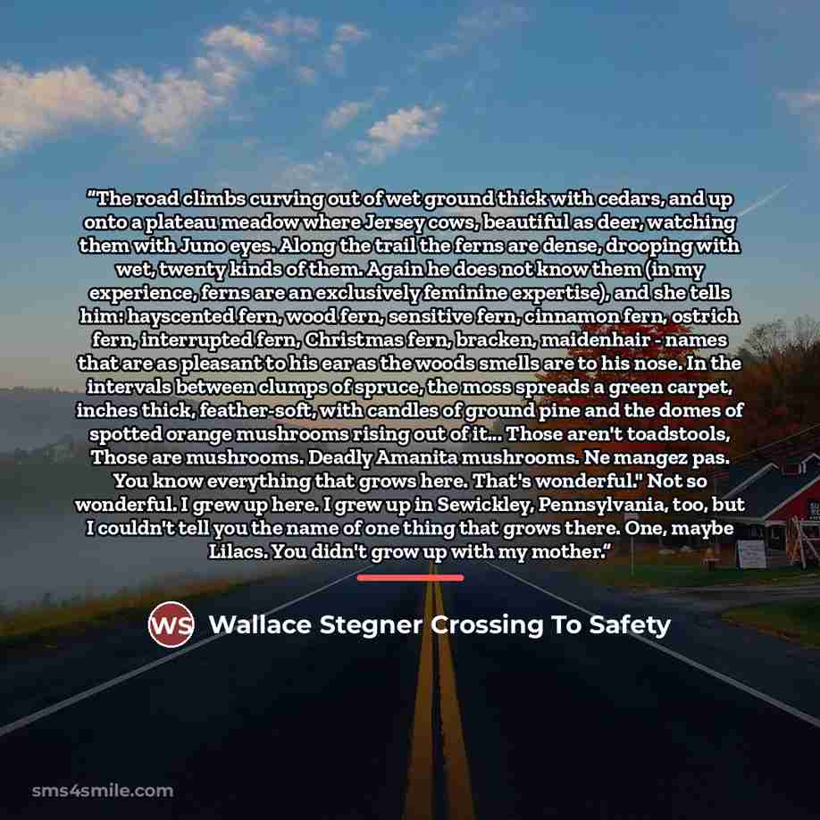 “The road climbs curving out of wet ground thick with cedars, and up onto a plateau meadow where Jersey cows, beautiful as deer, watching them with Juno eyes. Along the trail the ferns are dense, drooping with wet, twenty kinds of them. Again he does not know them (in my experience, ferns are an…” quote by Wallace Stegner Crossing To Safety