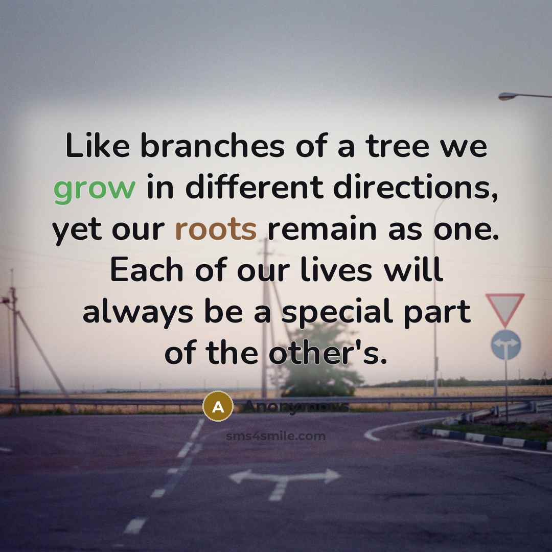 “Like branches of a tree we grow in different directions, yet our roots remain as one. Each of our lives will always be a special part of the other's.” quote by Anonymous