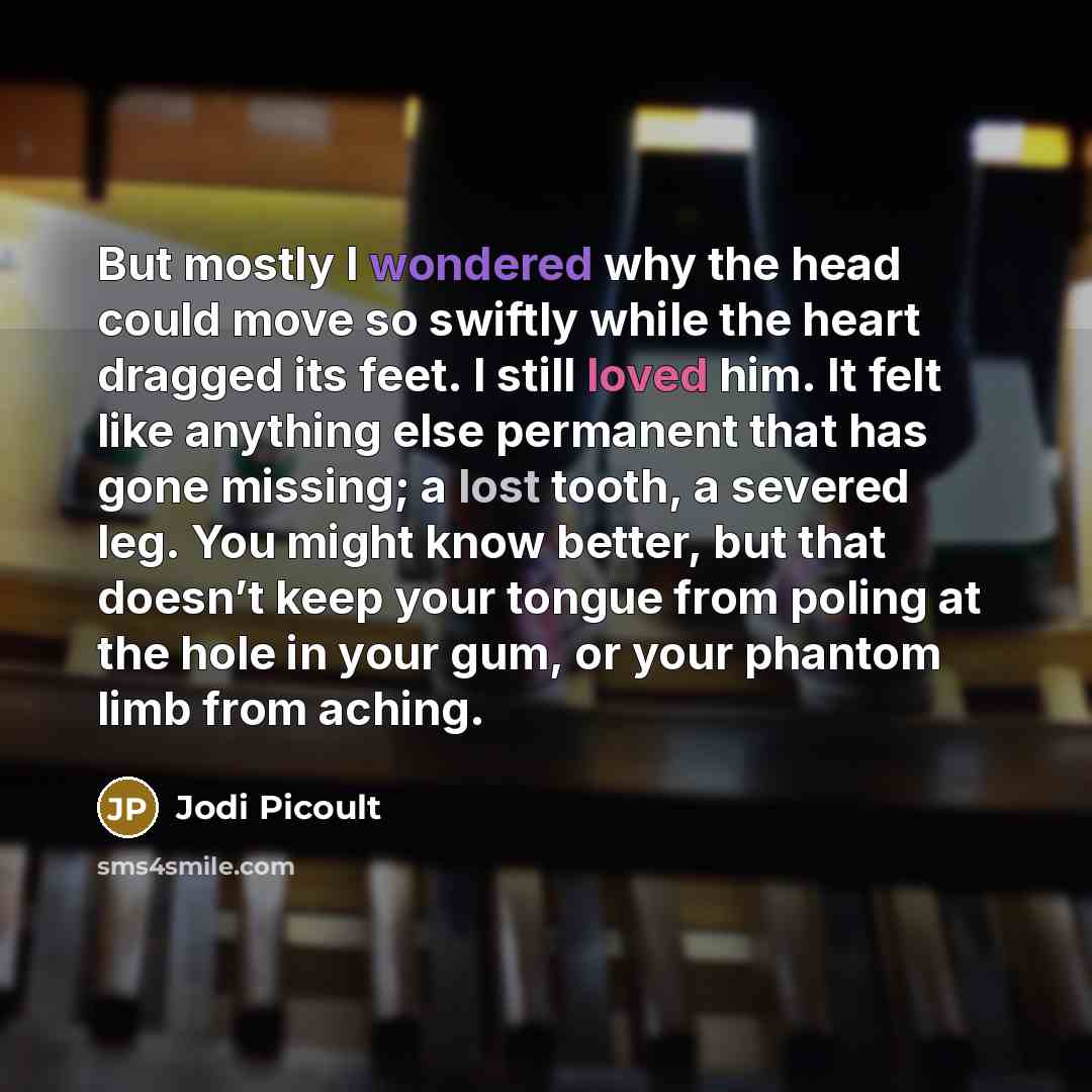 “But mostly I wondered why the head could move so swiftly while the heart dragged its feet. I still loved him. It felt like anything else permanent that has gone missing; a lost tooth, a severed leg. You might know better, but that doesn’t keep your tongue from poling at the hole in your gum, or…” quote by Jodi Picoult