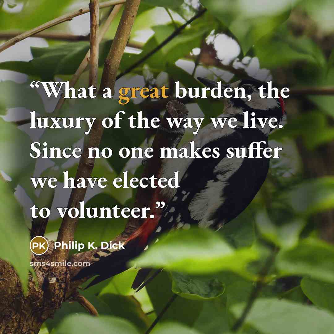 “What a great burden, the luxury of the way we live. Since no one makes suffer we have elected to volunteer.” quote by Philip K. Dick