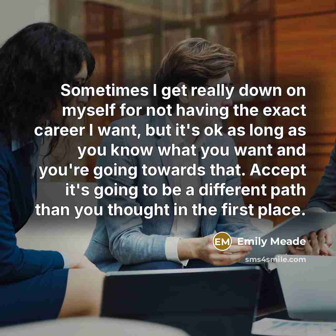 “Sometimes I get really down on myself for not having the exact career I want, but it's ok as long as you know what you want and you're going towards that. Accept it's going to be a different path than you thought in the first place.” quote by Emily Meade