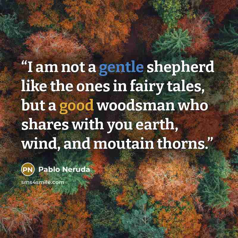 “I am not a gentle shepherd like the ones in fairy tales, but a good woodsman who shares with you earth, wind, and moutain thorns.” quote by Pablo Neruda