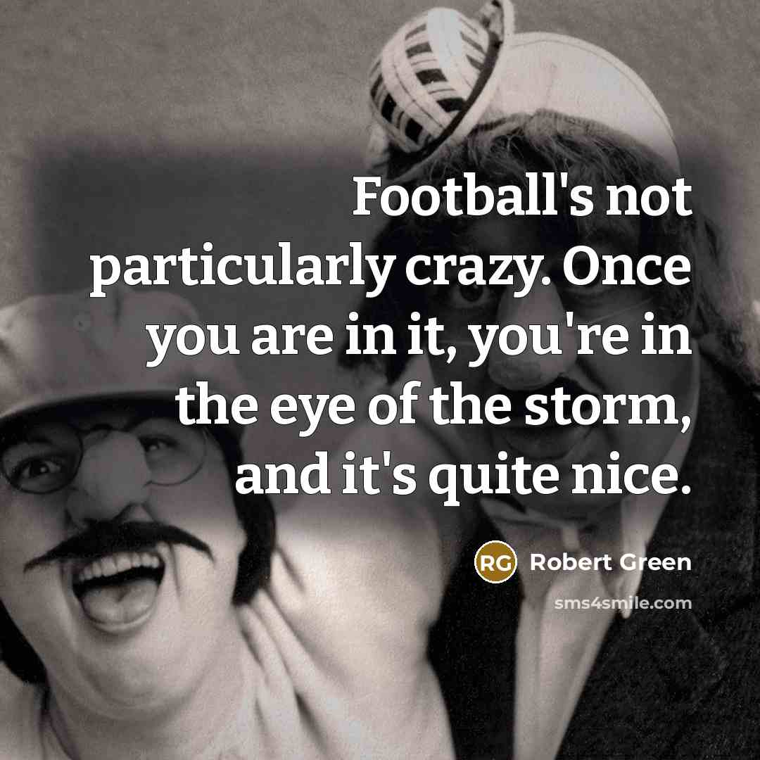 “Football's not particularly crazy. Once you are in it, you're in the eye of the storm, and it's quite nice.” quote by Robert Green