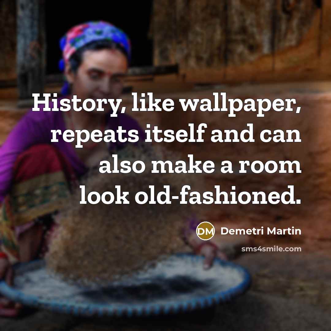 “History, like wallpaper, repeats itself and can also make a room look old-fashioned.” quote by Demetri Martin