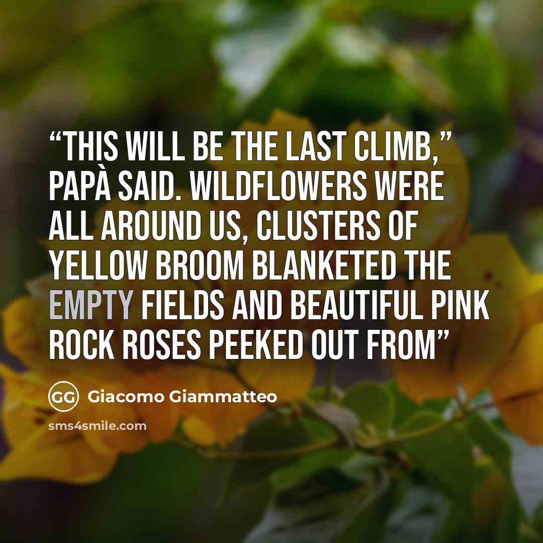 “This will be the last climb,” Papà said. Wildflowers were all around us, clusters of yellow broom blanketed the empty fields and beautiful pink rock roses peeked out from” quote by Giacomo Giammatteo