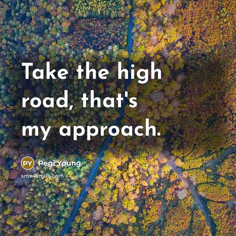 “Take the high road, that's my approach.” quote by Pegi Young
