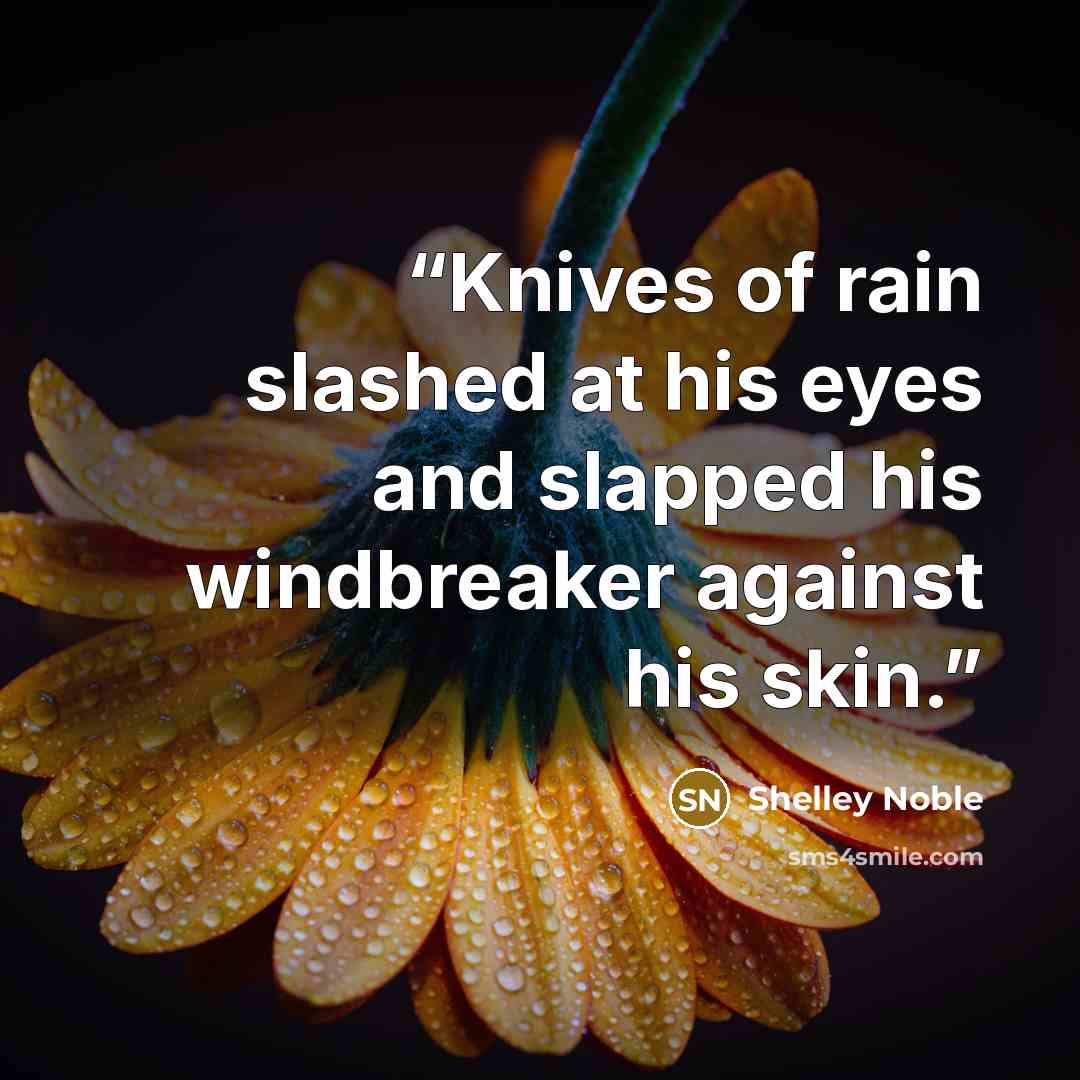 “Knives of rain slashed at his eyes and slapped his windbreaker against his skin.” quote by Shelley Noble