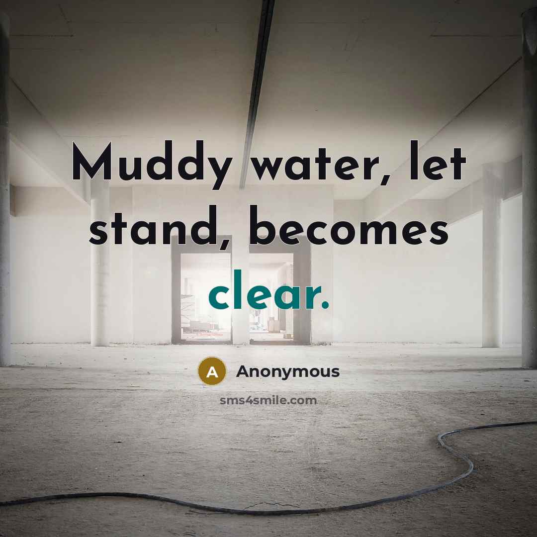 “Muddy water, let stand, becomes clear.” quote by Anonymous