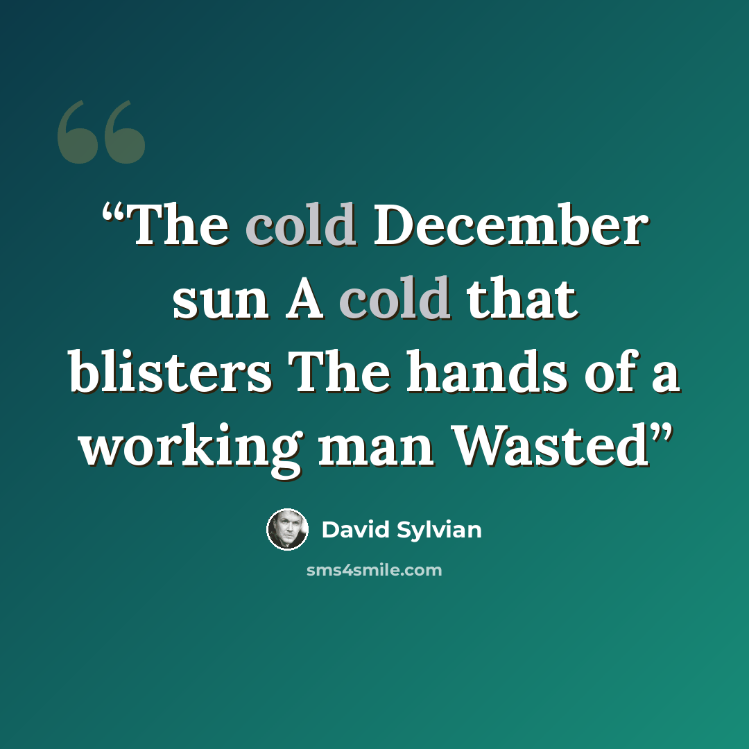 “The cold December sun A cold that blisters The hands of a working man Wasted” quote by David Sylvian