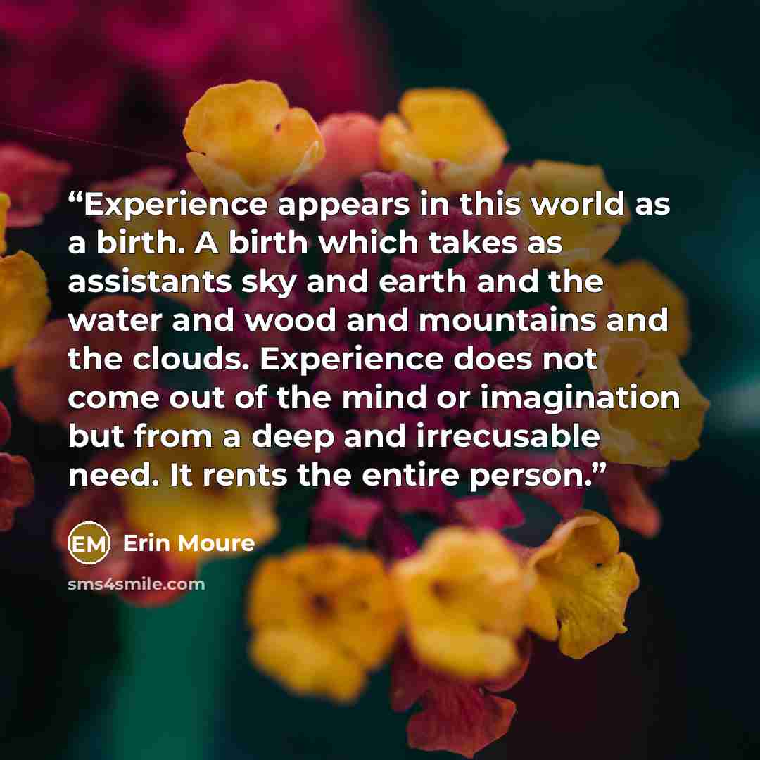 “Experience appears in this world as a birth. A birth which takes as assistants sky and earth and the water and wood and mountains and the clouds. Experience does not come out of the mind or imagination but from a deep and irrecusable need. It rents the entire person.” quote by Erin Moure