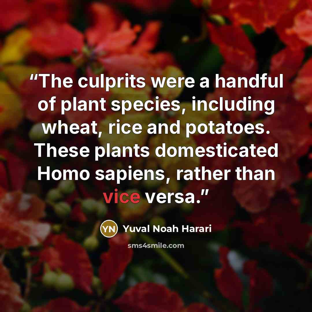 “The culprits were a handful of plant species, including wheat, rice and potatoes. These plants domesticated Homo sapiens, rather than vice versa.” quote by Yuval Noah Harari