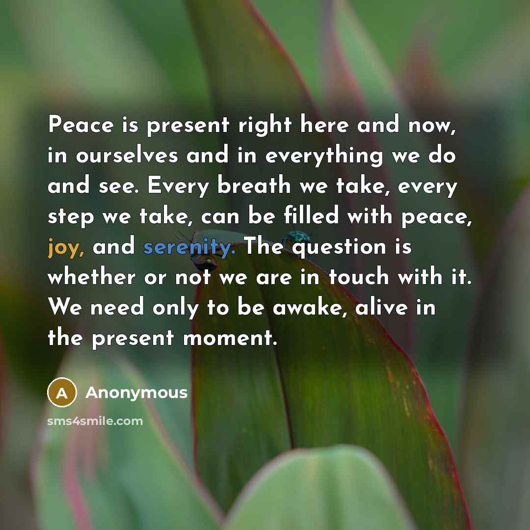 “Peace is present right here and now, in ourselves and in everything we do and see. Every breath we take, every step we take, can be filled with peace, joy, and serenity. The question is whether or not we are in touch with it. We need only to be awake, alive in the present moment.” quote by Anonymous
