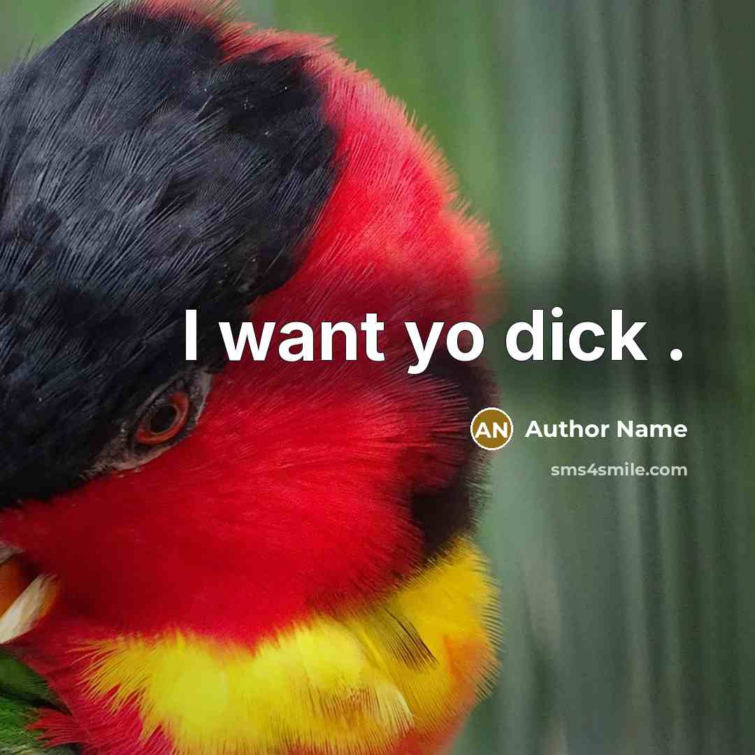 “I want yo dick .” quote by Author Name