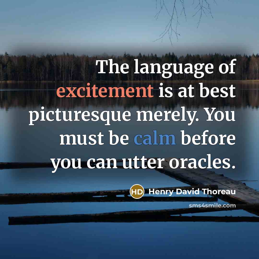 “The language of excitement is at best picturesque merely. You must be calm before you can utter oracles.” quote by Henry David Thoreau