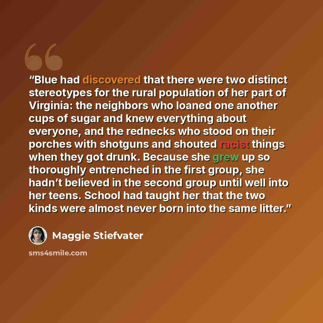 “Blue had discovered that there were two distinct stereotypes for the rural population of her part of Virginia: the neighbors who loaned one another cups of sugar and knew everything about everyone, and the rednecks who stood on their porches with shotguns and shouted racist things when they got…” quote by Maggie Stiefvater
