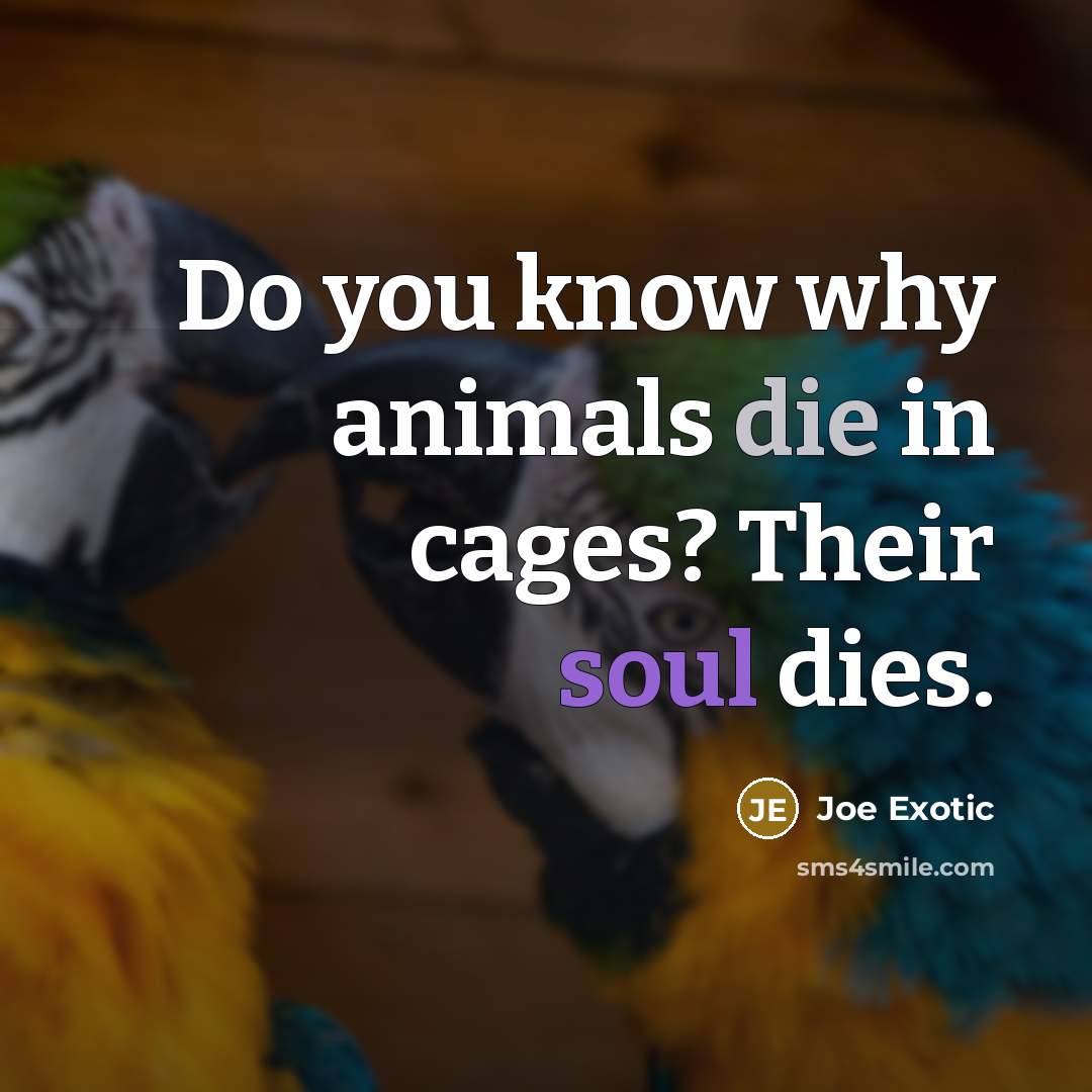 “Do you know why animals die in cages? Their soul dies.” quote by Joe Exotic