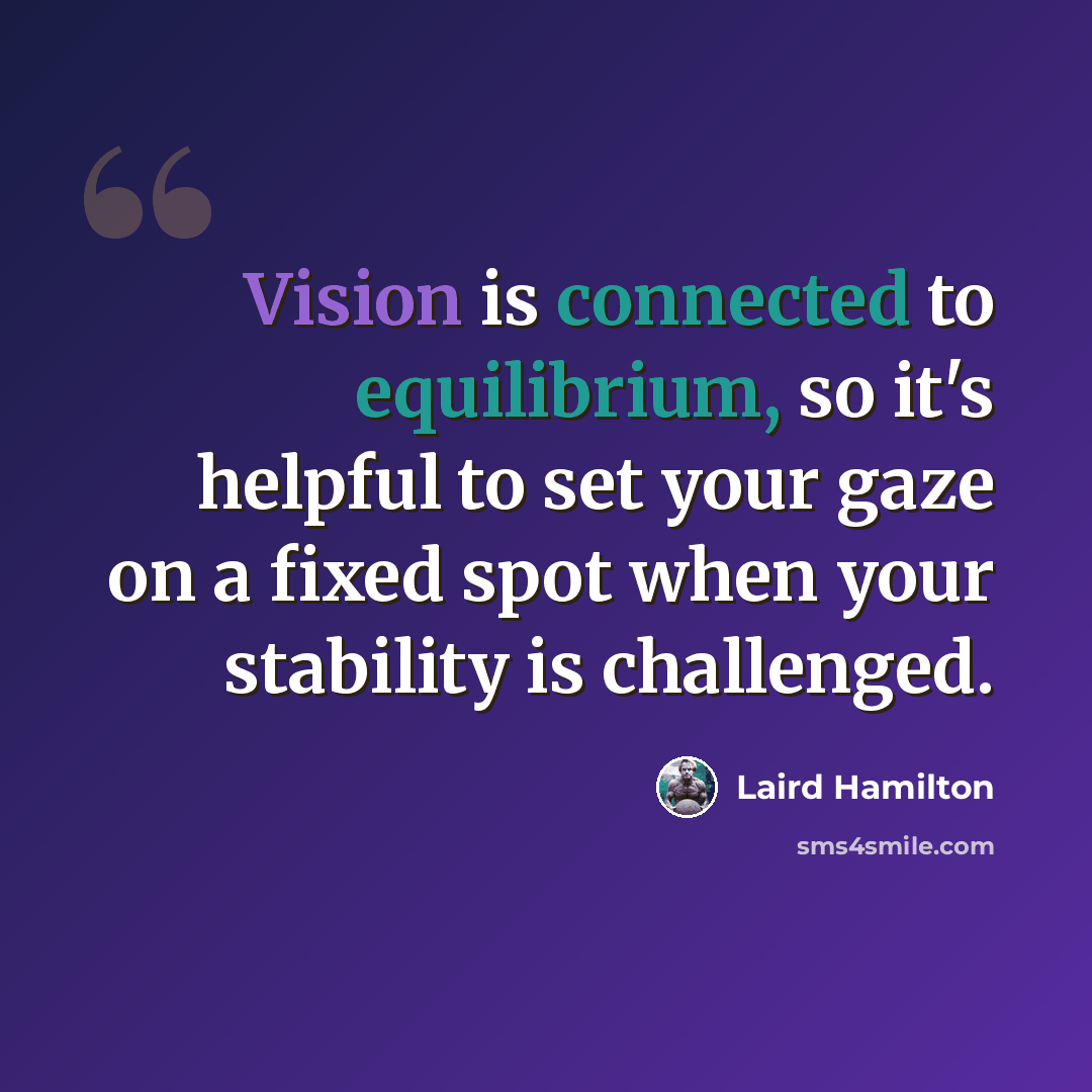 “Vision is connected to equilibrium, so it's helpful to set your gaze on a fixed spot when your stability is challenged.” quote by Laird Hamilton
