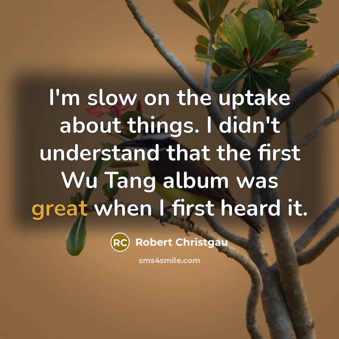 “I'm slow on the uptake about things. I didn't understand that the first Wu Tang album was great when I first heard it.” quote by Robert Christgau