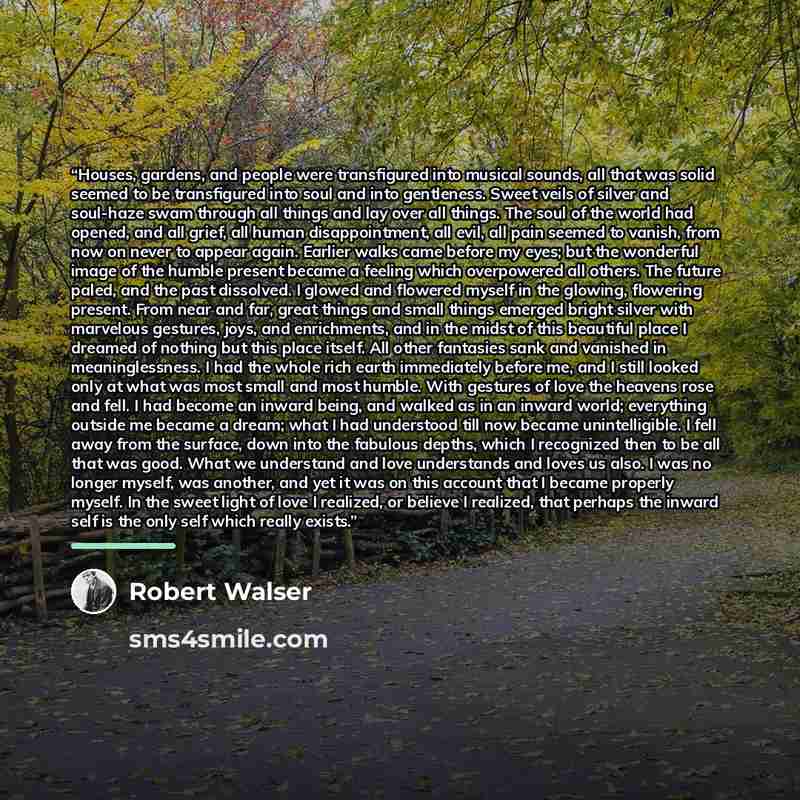 “Houses, gardens, and people were transfigured into musical sounds, all that was solid seemed to be transfigured into soul and into gentleness. Sweet veils of silver and soul-haze swam through all things and lay over all things. The soul of the world had opened, and all grief, all human…” quote by Robert Walser