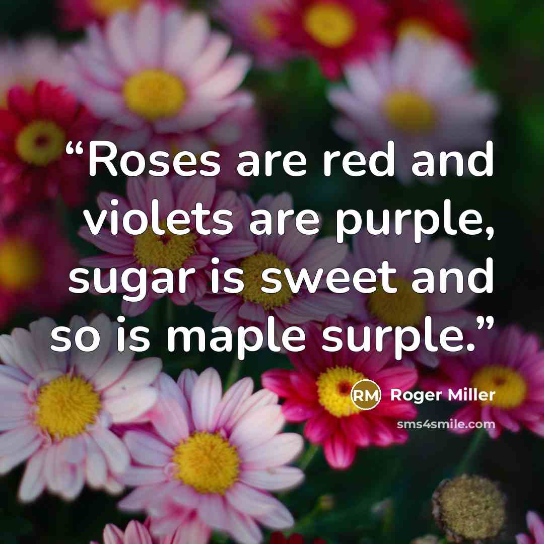 “Roses are red and violets are purple, sugar is sweet and so is maple surple.” quote by Roger Miller