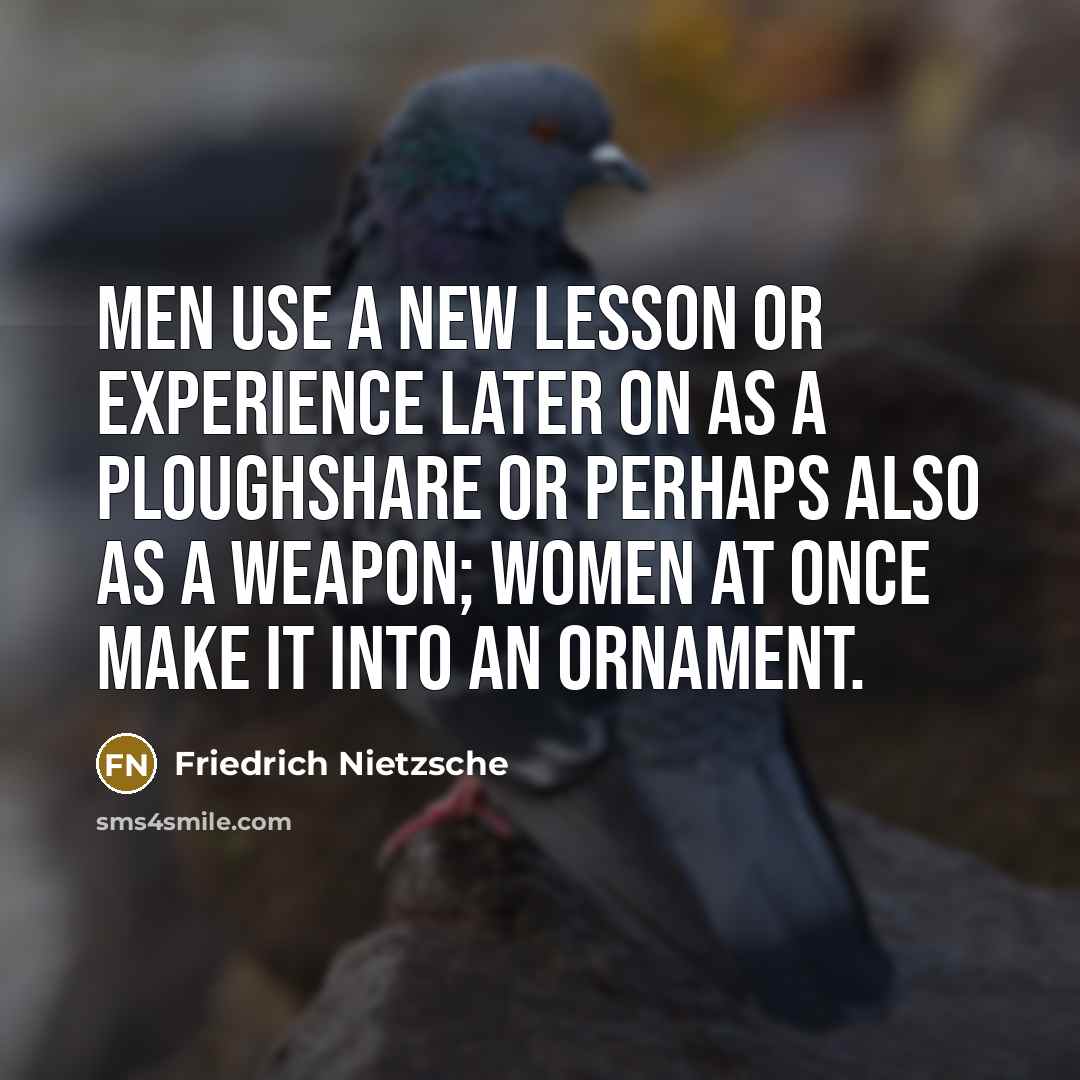 “Men use a new lesson or experience later on as a ploughshare or perhaps also as a weapon; women at once make it into an ornament.” quote by Friedrich Nietzsche