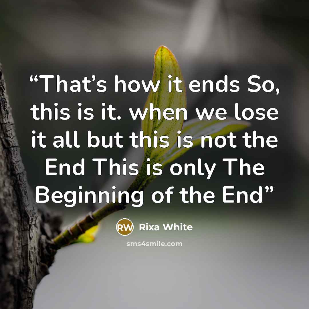 “That’s how it ends So, this is it. when we lose it all but this is not the End This is only The Beginning of the End” quote by Rixa White