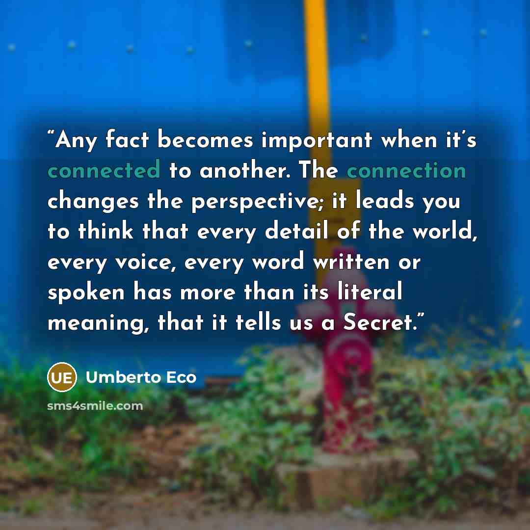 “Any fact becomes important when it’s connected to another. The connection changes the perspective; it leads you to think that every detail of the world, every voice, every word written or spoken has more than its literal meaning, that it tells us a Secret.” quote by Umberto Eco