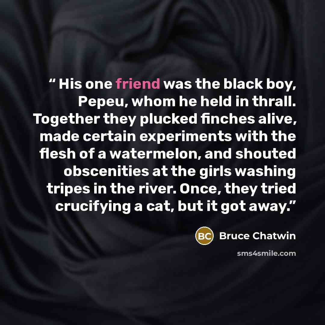 “His one friend was the black boy, Pepeu, whom he held in thrall. Together they plucked finches alive, made certain experiments with the flesh of a watermelon, and shouted obscenities at the girls washing tripes in the river. Once, they tried crucifying a cat, but it got away.” quote by Bruce Chatwin