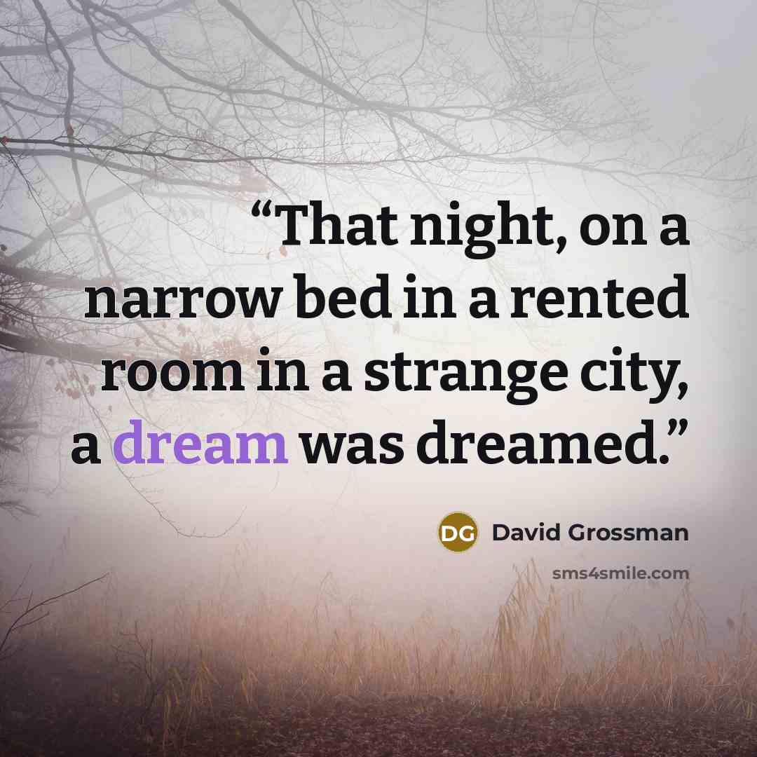 “That night, on a narrow bed in a rented room in a strange city, a dream was dreamed.” quote by David Grossman