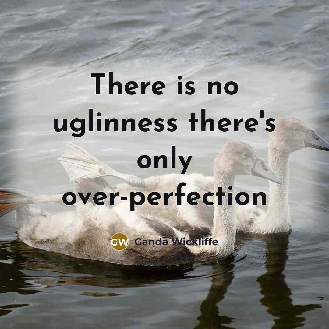 “There is no uglinness there's only over-perfection” quote by Ganda Wickliffe