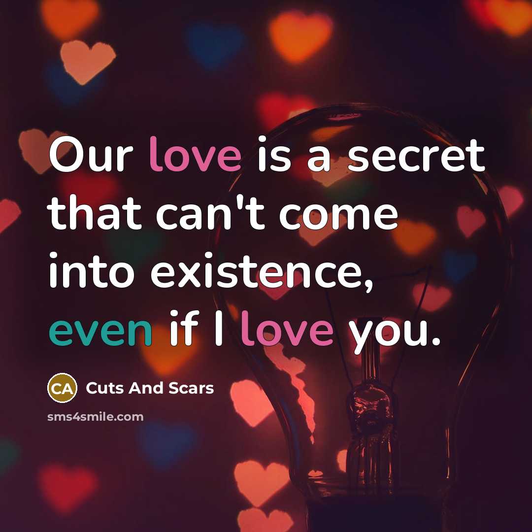 “Our love is a secret that can't come into existence, even if I love you.” quote by Cuts And Scars