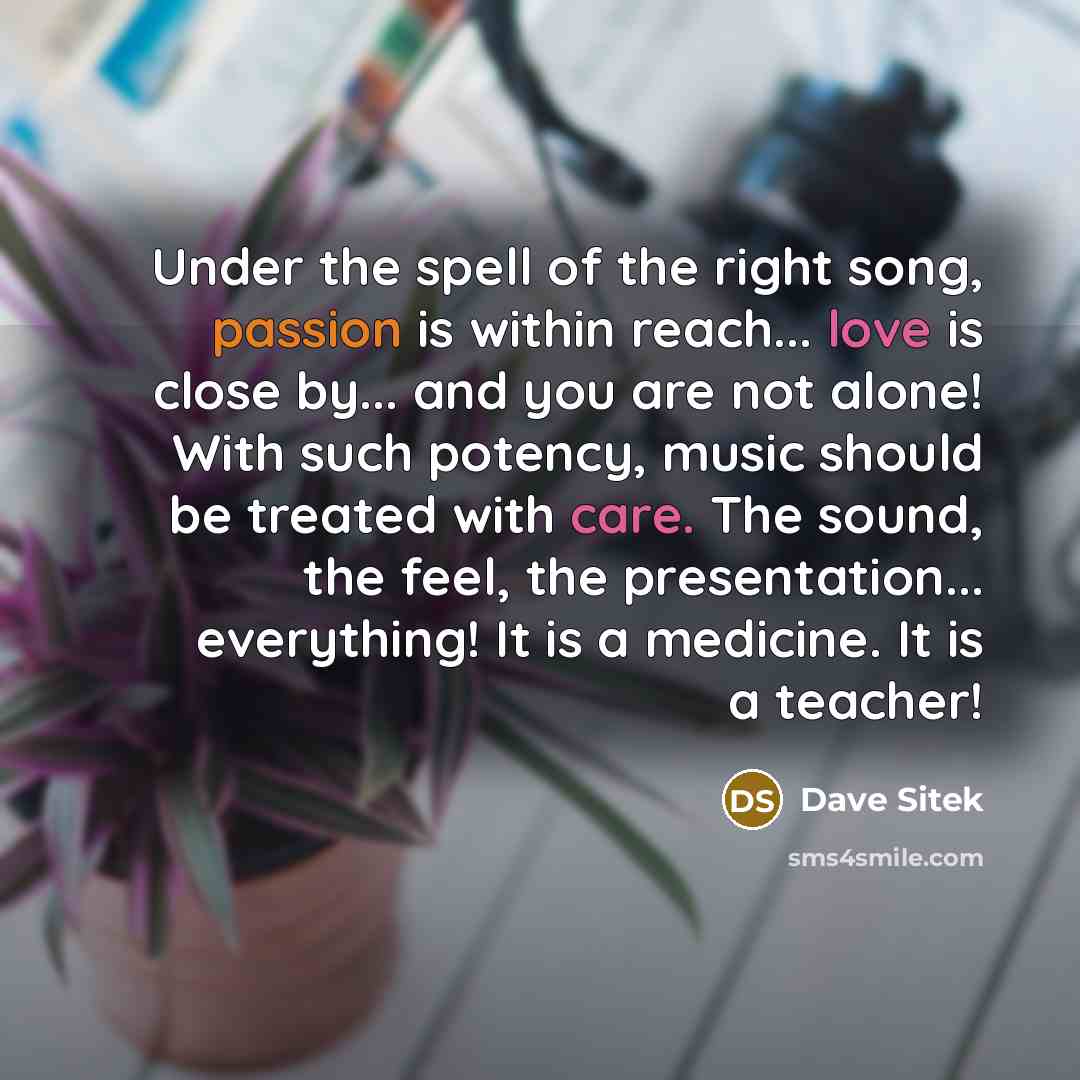 “Under the spell of the right song, passion is within reach... love is close by... and you are not alone! With such potency, music should be treated with care. The sound, the feel, the presentation... everything! It is a medicine. It is a teacher!” quote by Dave Sitek