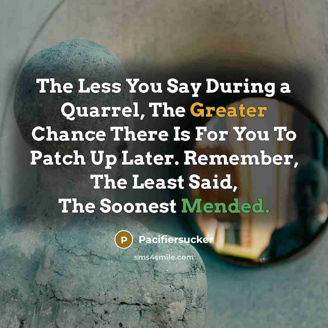 “The Less You Say During a Quarrel, The Greater Chance There Is For You To Patch Up Later. Remember, The Least Said, The Soonest Mended.” quote by Pacifiersucker
