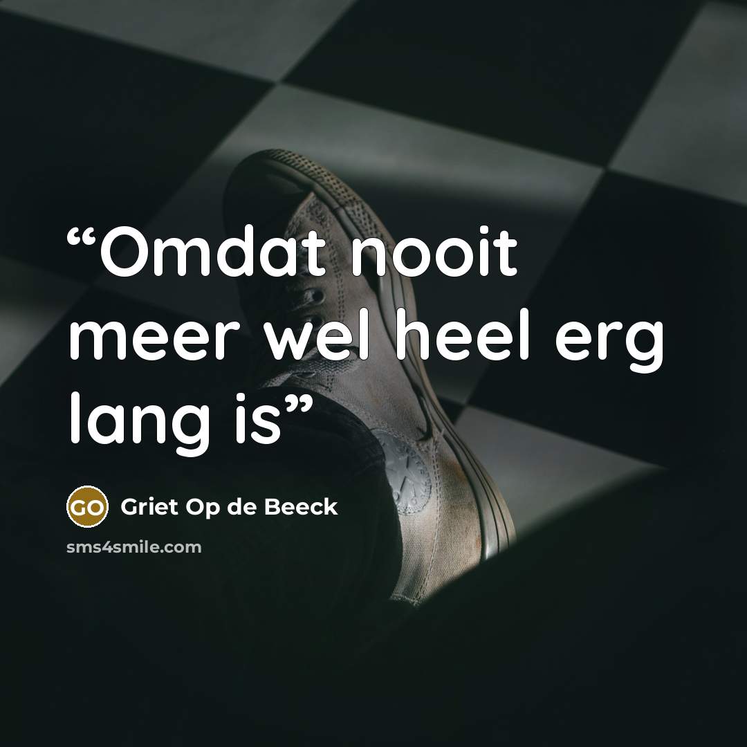 “Omdat nooit meer wel heel erg lang is” quote by Griet Op de Beeck