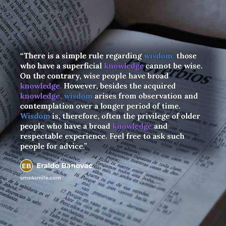 “There is a simple rule regarding wisdom: those who have a superficial knowledge cannot be wise. On the contrary, wise people have broad knowledge. However, besides the acquired knowledge, wisdom arises from observation and contemplation over a longer period of time. Wisdom is, therefore, often the…” quote by Eraldo Banovac