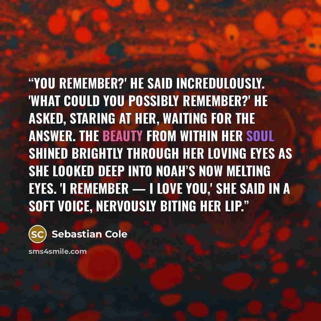 “You remember?' he said incredulously. 'What could you possibly remember?' he asked, staring at her, waiting for the answer. The beauty from within her soul shined brightly through her loving eyes as she looked deep into Noah’s now melting eyes. 'I remember — I love you,' she said in a soft voice…” quote by Sebastian Cole