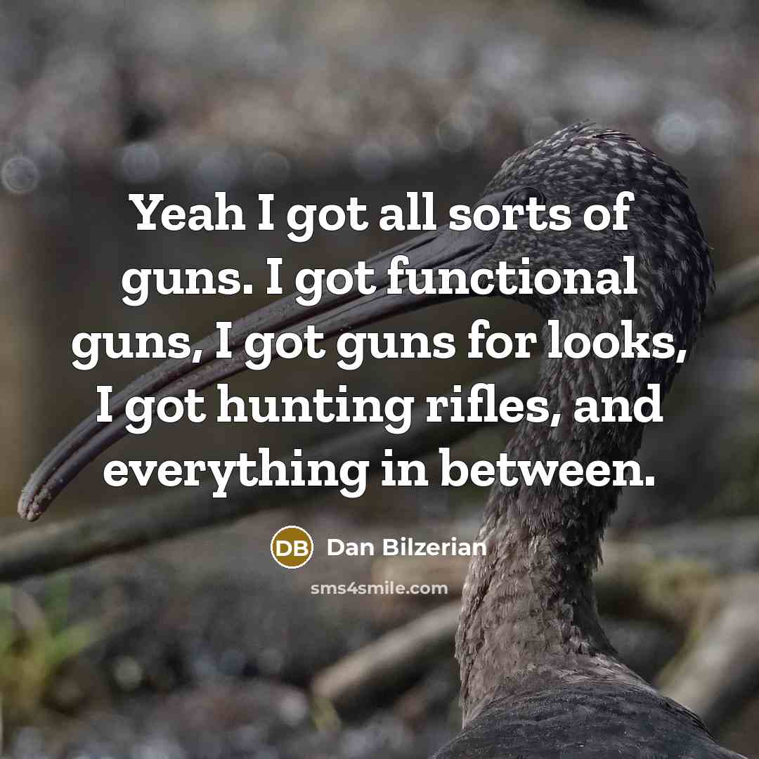 “Yeah I got all sorts of guns. I got functional guns, I got guns for looks, I got hunting rifles, and everything in between.” quote by Dan Bilzerian
