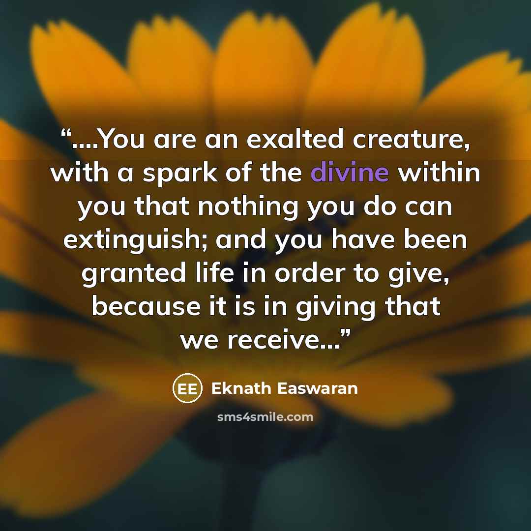 “….You are an exalted creature, with a spark of the divine within you that nothing you do can extinguish; and you have been granted life in order to give, because it is in giving that we receive…” quote by Eknath Easwaran