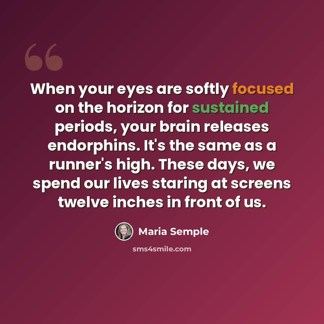 “When your eyes are softly focused on the horizon for sustained periods, your brain releases endorphins. It's the same as a runner's high. These days, we spend our lives staring at screens twelve inches in front of us.” quote by Maria Semple