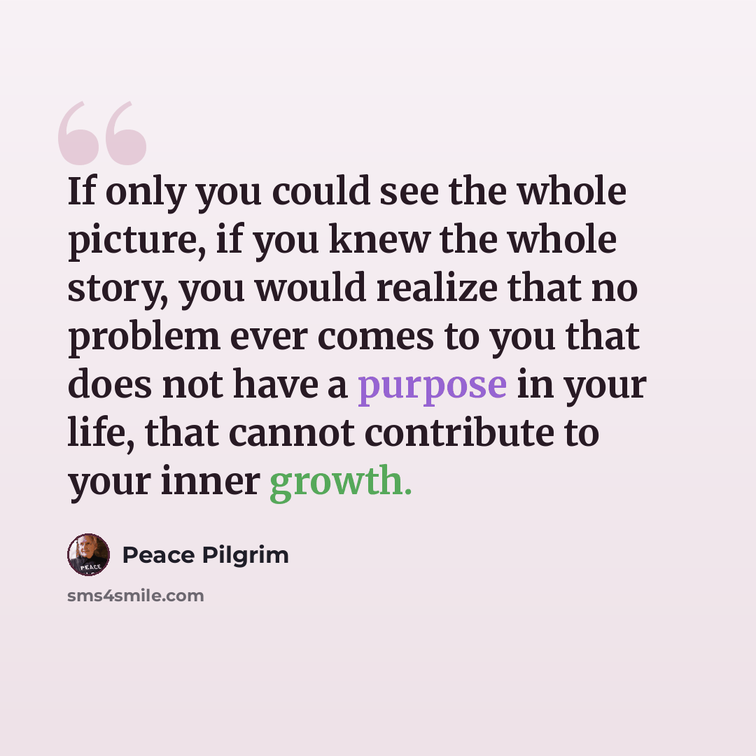“If only you could see the whole picture, if you knew the whole story, you would realize that no problem ever comes to you that does not have a purpose in your life, that cannot contribute to your inner growth.” quote by Peace Pilgrim